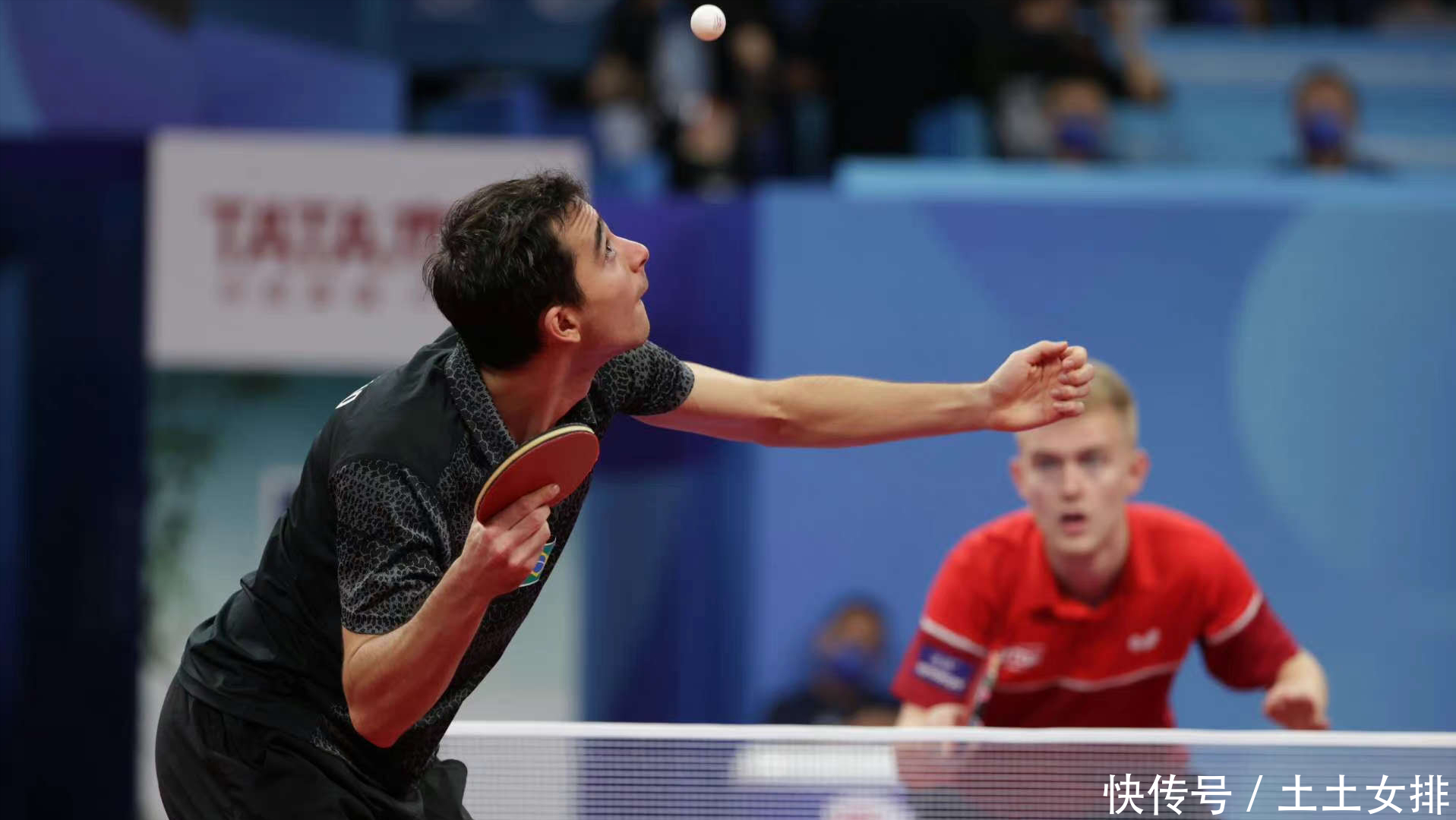 能够在复杂 能够在复杂